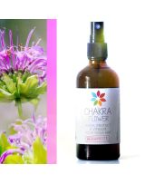 Bio Reiniger Konzentrat Bergamotte (100 ml) | Chakra Flower