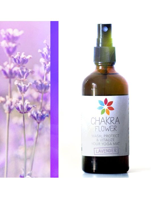 Weiblicher Bio Lavendel von der Insel Hvar