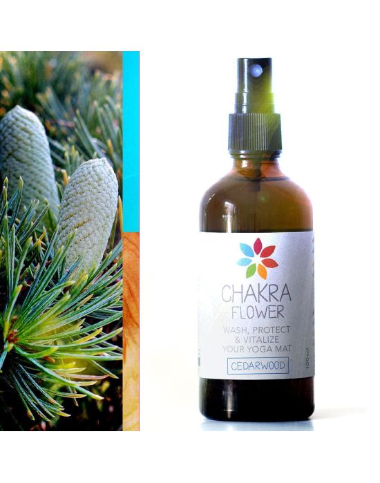 Reiniger-Konzentrat Zedernholz (100 ml) | Chakra Flower